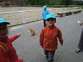 DSCN6622