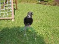 DSCN8425