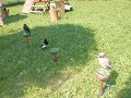 DSCN8426