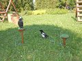 DSCN8427