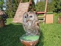 DSCN8431