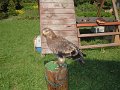 DSCN8432