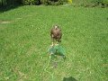 DSCN8433