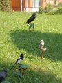 DSCN8435