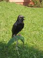 DSCN8436