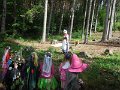 DSCN6909