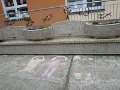 DSCN7009