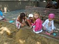 DSCN7185