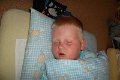 SAM_3161