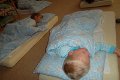 SAM_3173