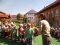 SAM_3973