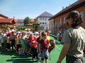 SAM_3974