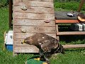 SAM_4014