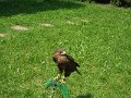 SAM_4015