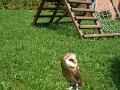 SAM_4016