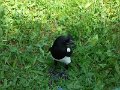 SAM_4023