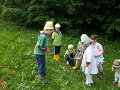 SAM_4072