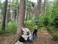 SAM_4115