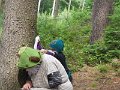 SAM_4117