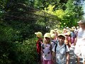 SAM_4227