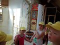 SAM_4237