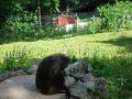 SAM_4246