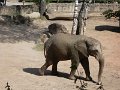 SAM_4249