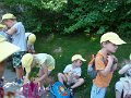 SAM_4251