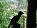 SAM_4253