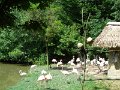 SAM_4254