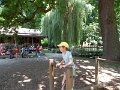SAM_4275
