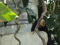 SAM_4283