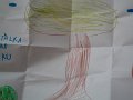 SAM_4405