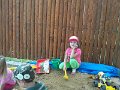 SAM_4458
