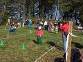 DSCN3146
