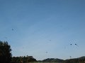 DSCN3183