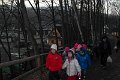 SAM_3620