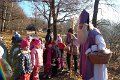SAM_3660